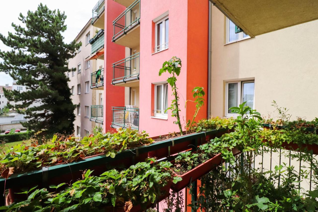 Cozynite Premium Apartment Schoenbrunn 2 Βιέννη Εξωτερικό φωτογραφία